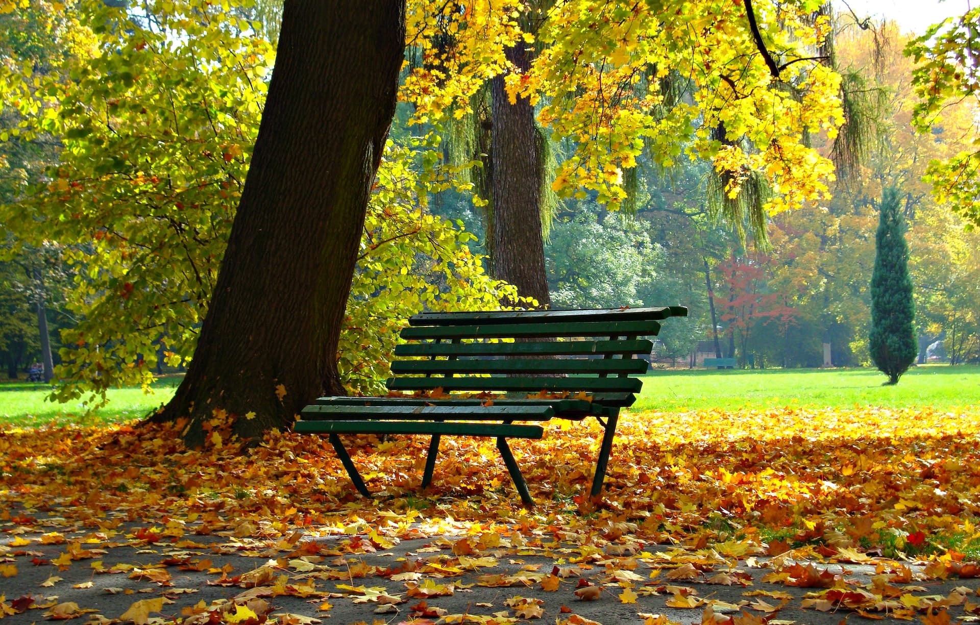 Rosemount Kitchener Neighbourhood Guide